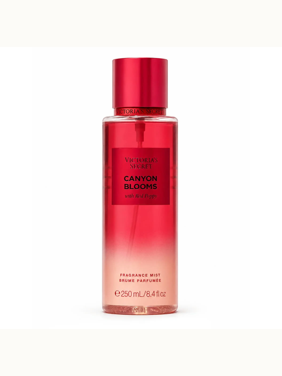 Canyon Blooms — autre vue